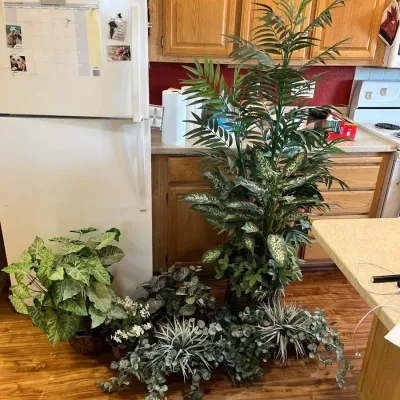 Artificial Plants 