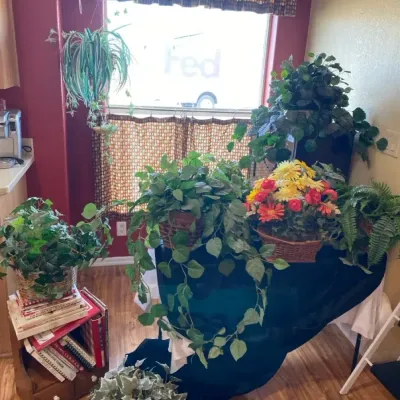 Artificial Plants