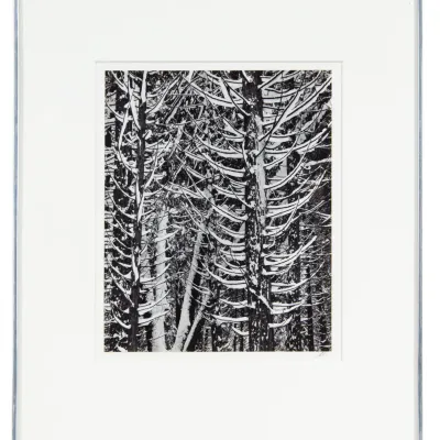 Sale Photo Thumbnail #275