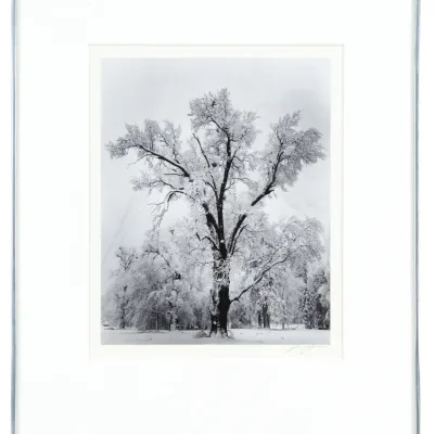 Sale Photo Thumbnail #273