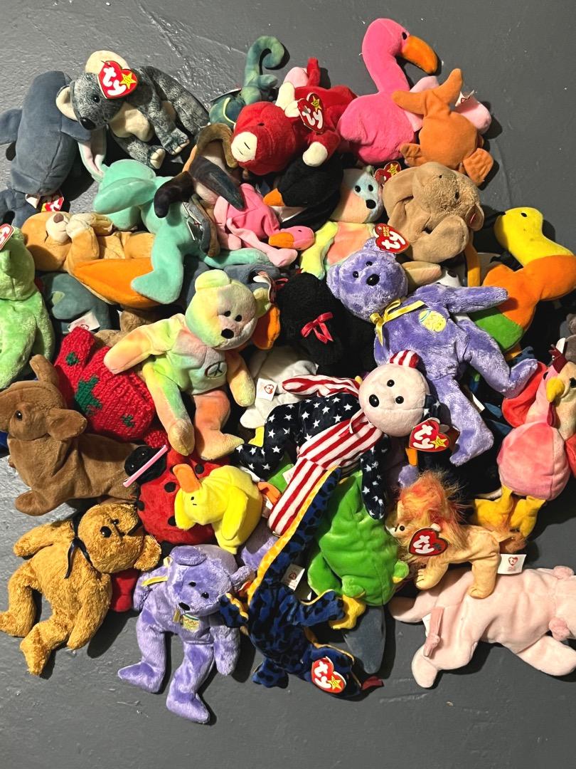 Beanie Babies Collection (49)