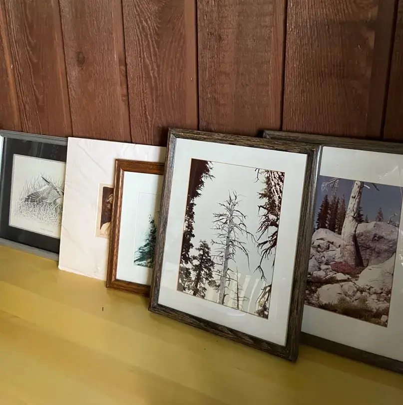 California Landscape Photography, Mark Twain Etching, Bird Watercolor 