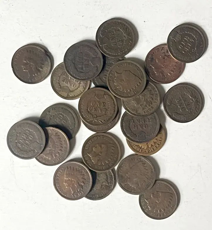 Indian Head Pennies (20)