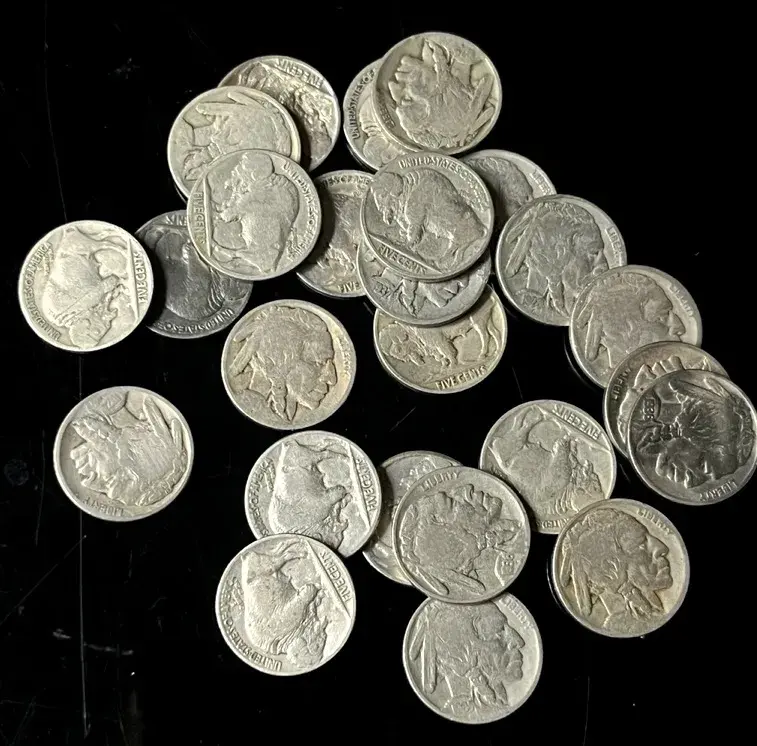 Buffalo Nickels (25)