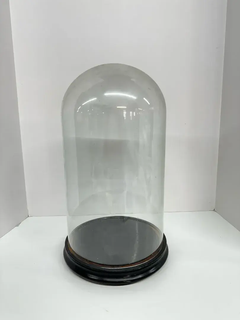 Glass Dome W/ Wood Base