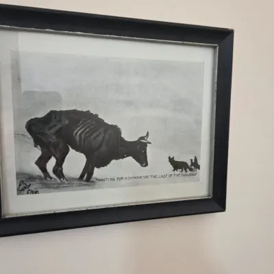 Sale Photo Thumbnail #62: Framed black and white print of Charles M. Russell's famous sketch, "Waiting for a Chinook," depicting a starving steer in a winter storm.