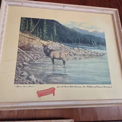 Sale Photo Thumbnail #97: Vintage Great Falls Select beer advertising print titled "Elk in Cool Waters," housed in a light wood frame.