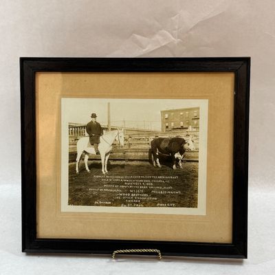 Sale Photo Thumbnail #369