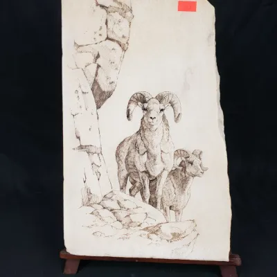 Sale Photo Thumbnail #20