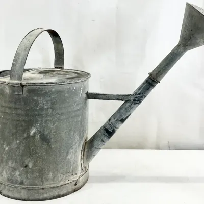 Sale Photo Thumbnail #81: Vintage galvanized metal watering can featuring a long spout with a removable sprinkler rose and a sturdy top carrying handle.
