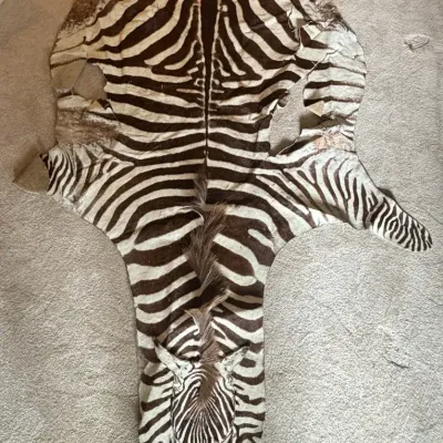 Zebra Fur Pelt