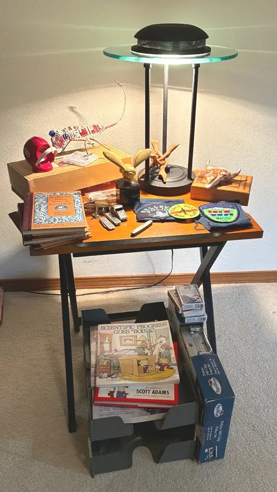 Desk Top Curiosities 