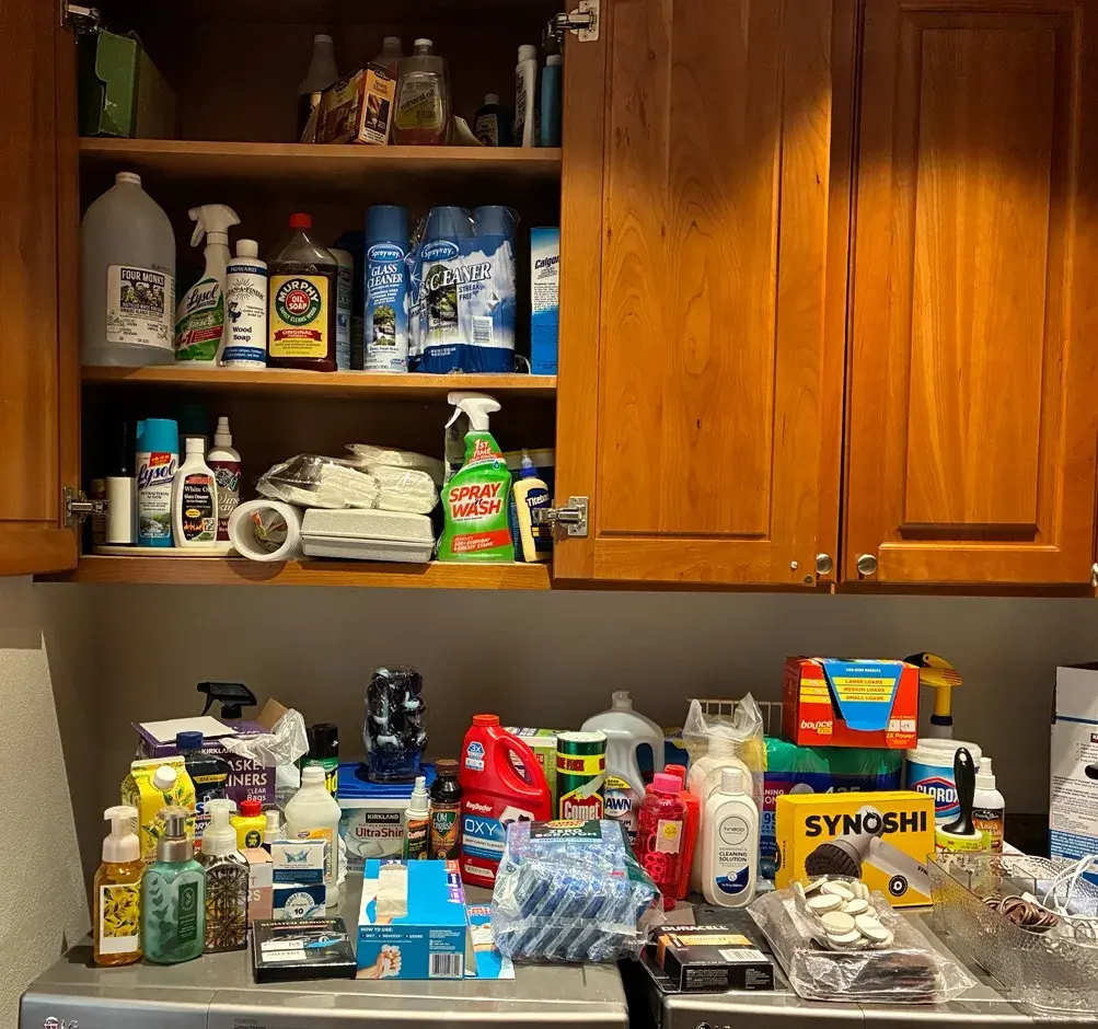 Household Cleaning Supplies 1