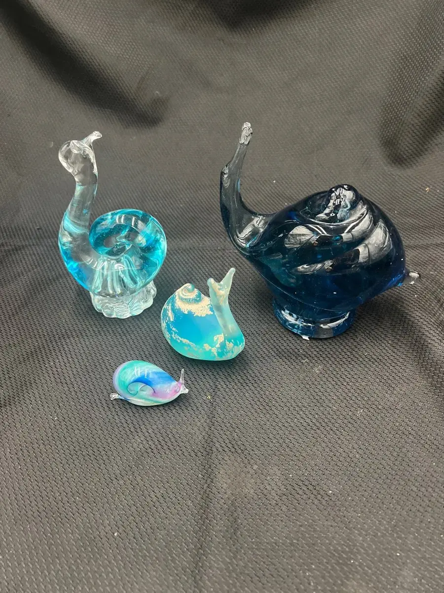 The Blue Snail Society 