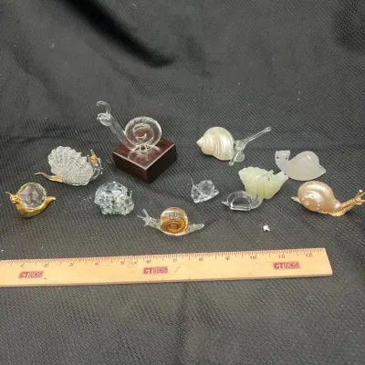 Curious Collection of Snails