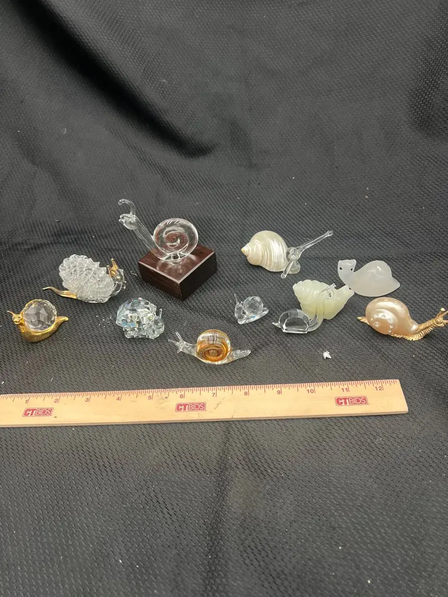 Curious Collection of Snails