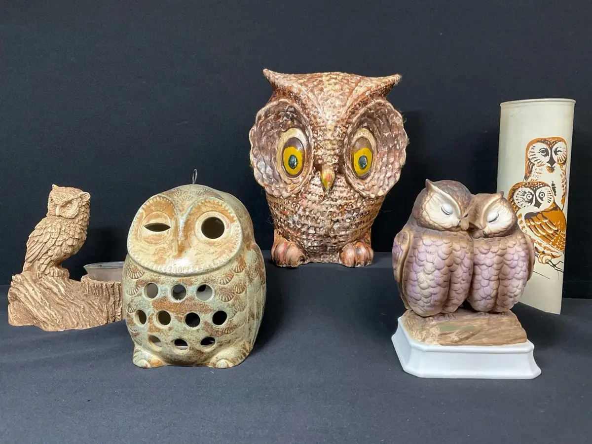 The Owl-cove 