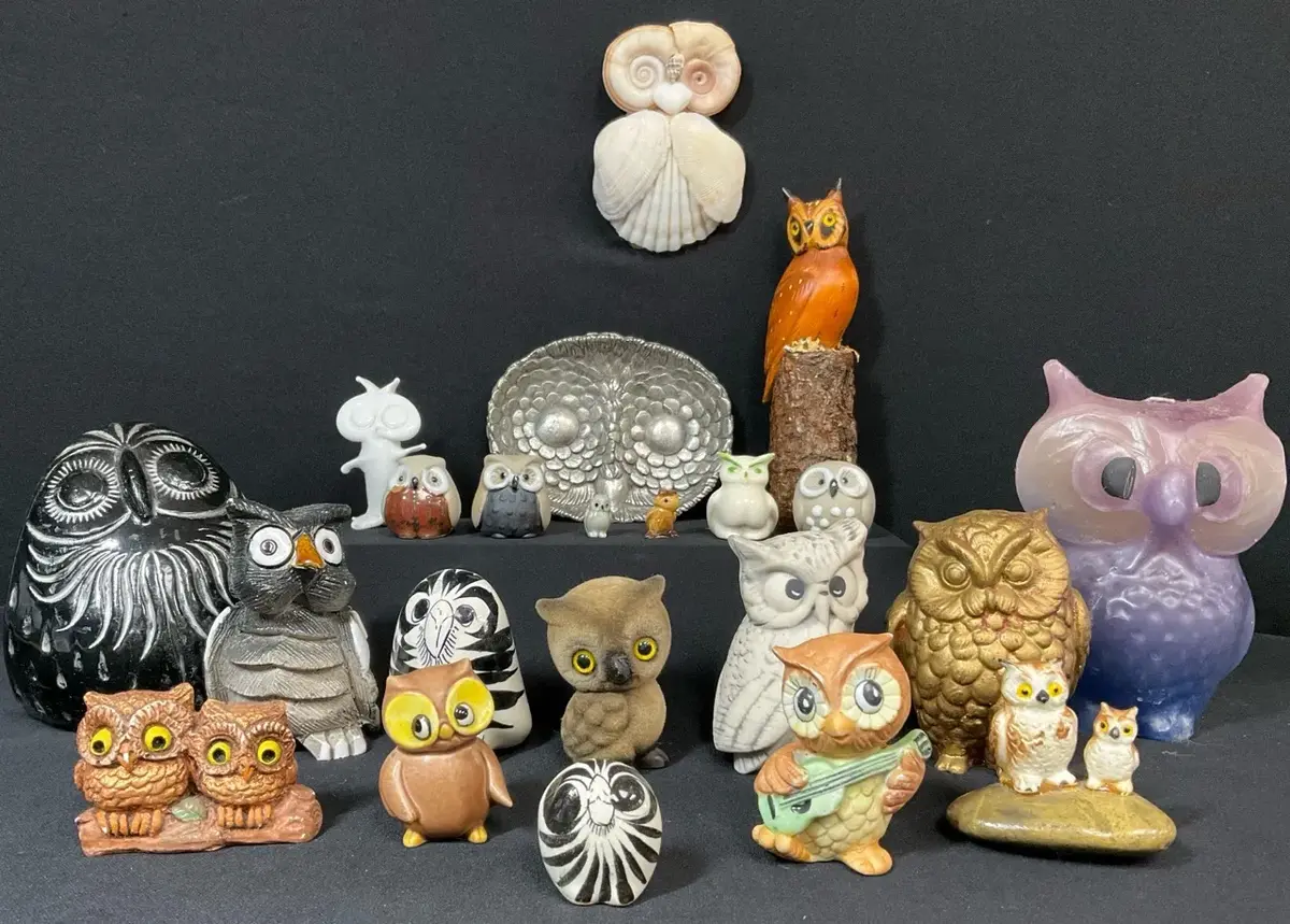 Owls Galore 