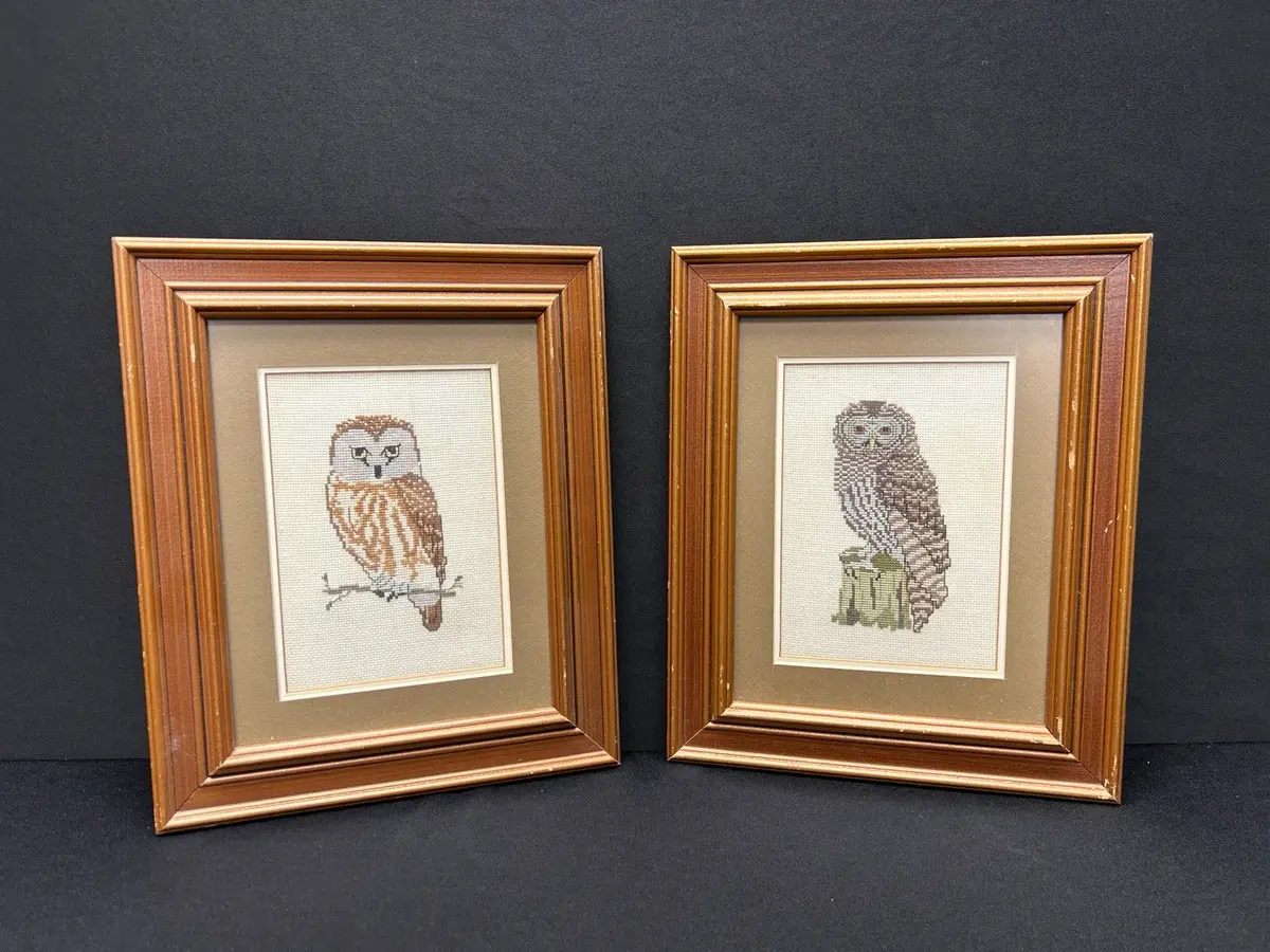 Owl Cross-stitch Wall Art