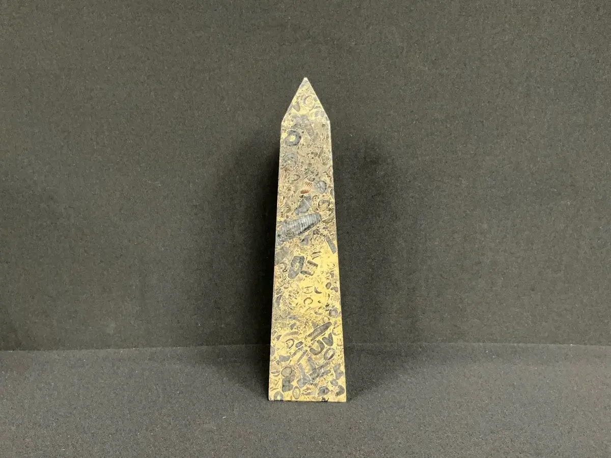 Fossil Stone Obelisk 