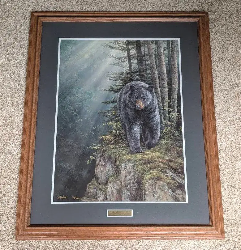 Rocky Outcrop - Black Bear Rosemary Millette Signed Print