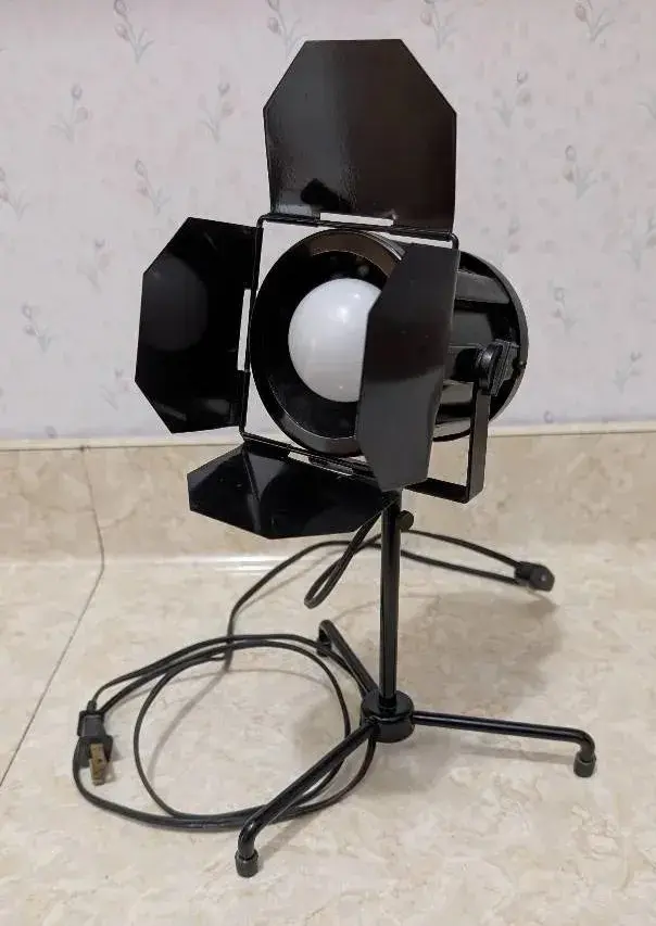 Mini Stage Light