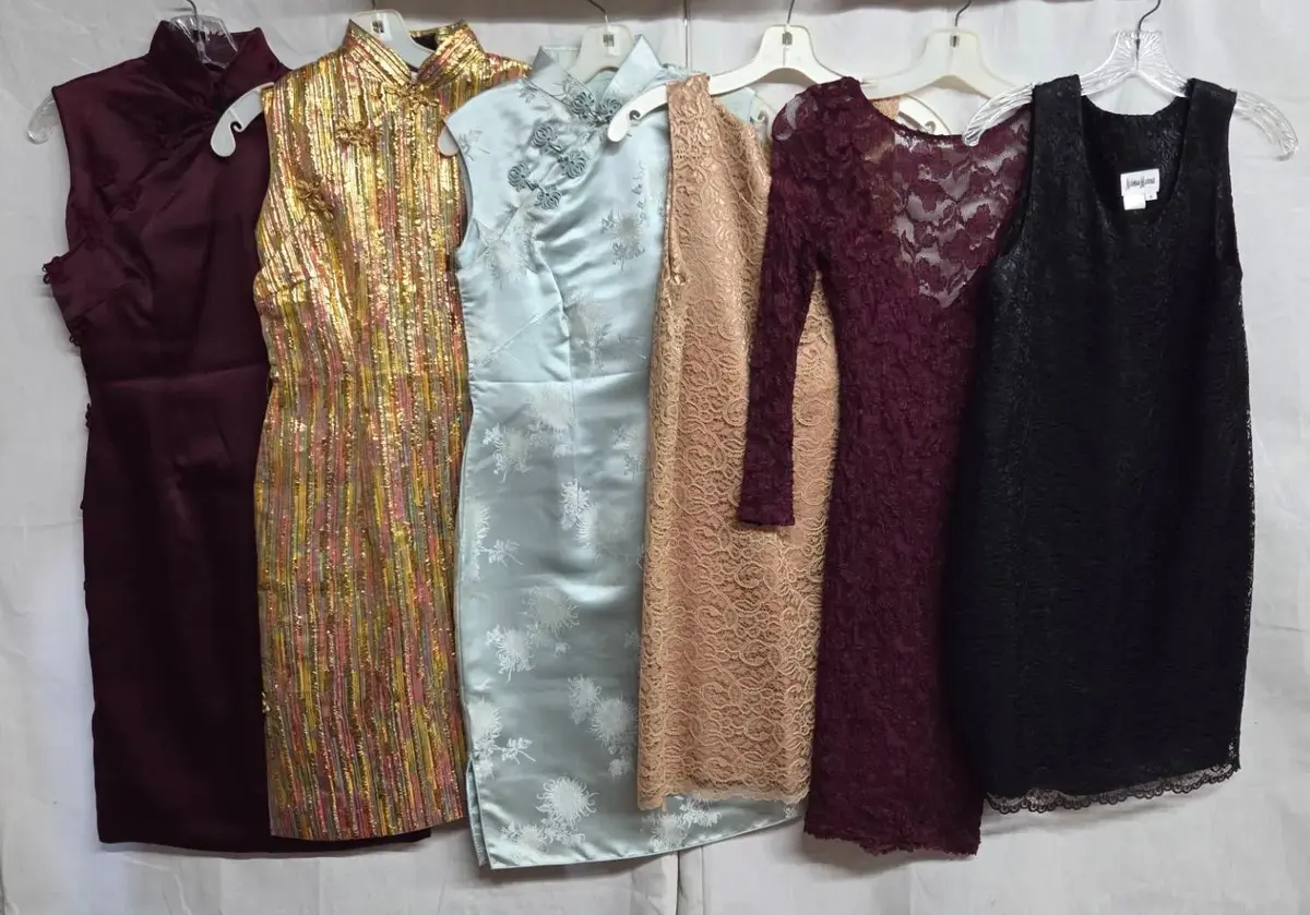 (6) Vintage Special Occasion Dresses