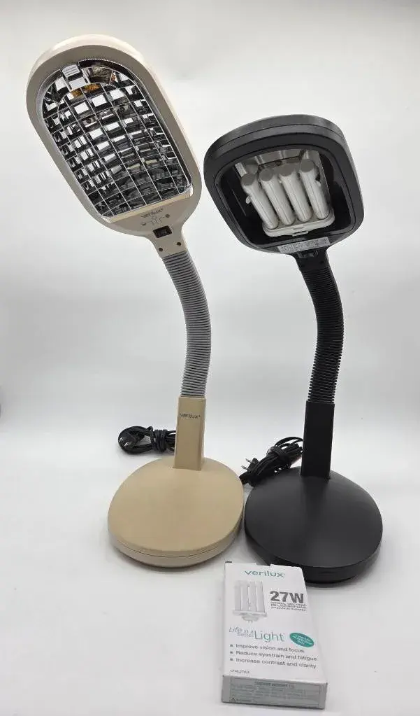 (2) Desk Lamps
