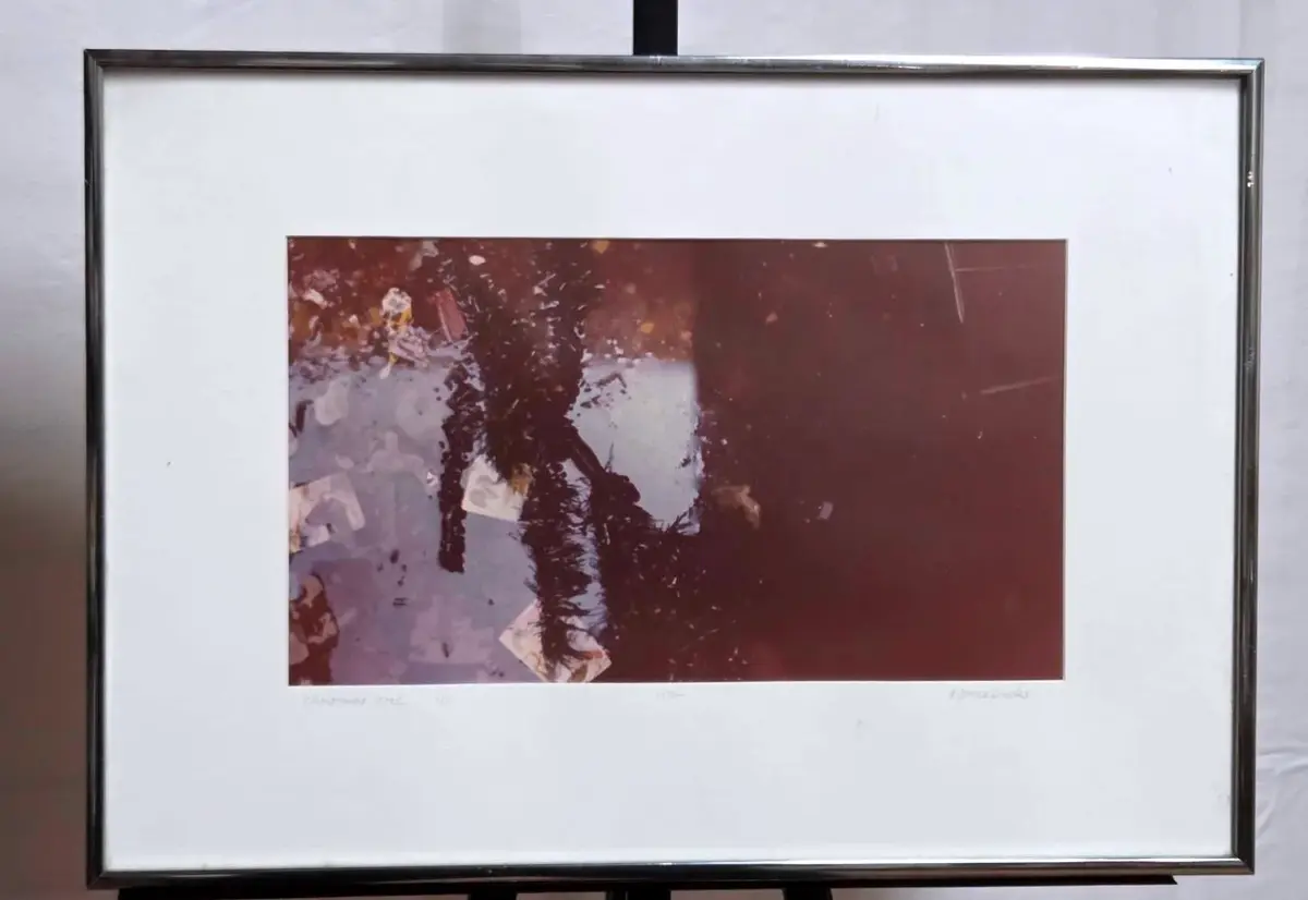 "Christmas Tree" Framed Photograph 