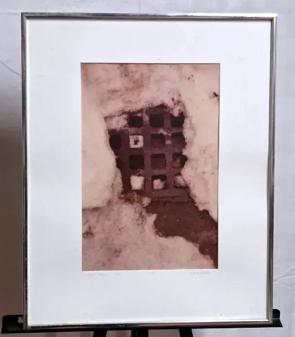 "Second Fence" Framed Photograph 