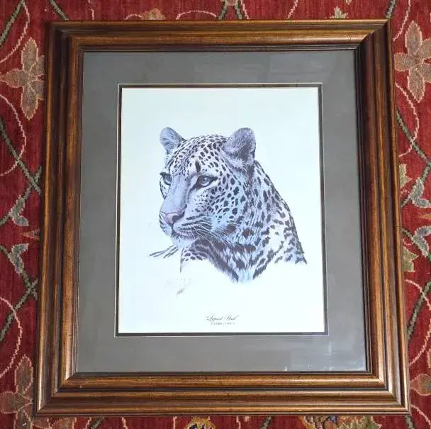Vintage Guy Coheleach "Leopard Head" Signed Print