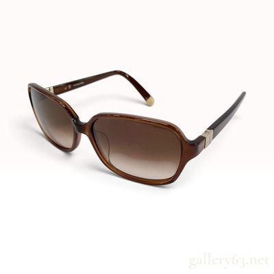Calvin Klein CK4202SA Brown Gradient Women's Sunglasses with Case