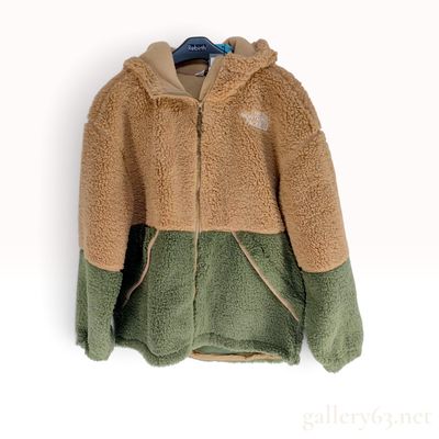 The North Face Lyman EX Fleece Hoodie in Tan and Green Large NWT
