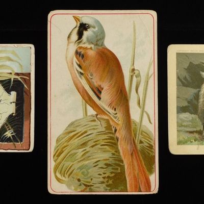 (3) VINTAGE ADVERTISMENTS CARDS