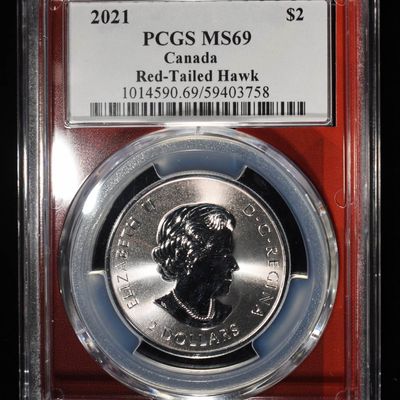 2021 CANADA RED TAILED HAWK 1/2 OZ SLVER PCGS MS69