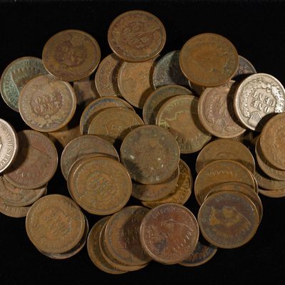 (50) INDIAN CENTS