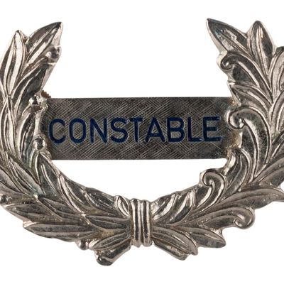 A Walt Disney World Constable Hat Badge.