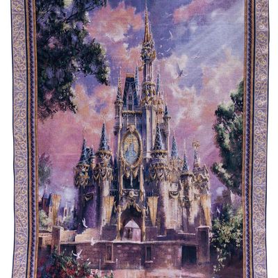 A Cinderella Castle Tapestry.