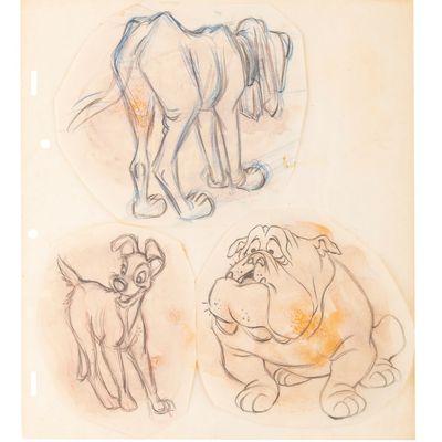 A Trio of "Lady and the Tramp" Character Sketches