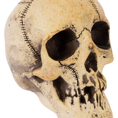 A Randotti Large Souvenir Skull.