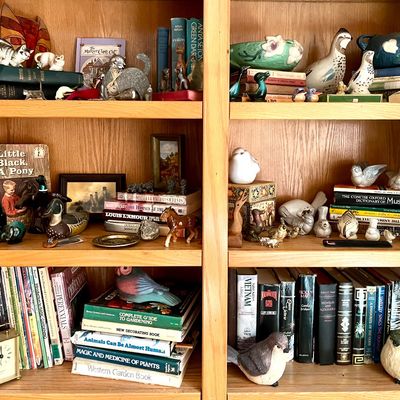 Wooden bookshelves filled with a collection of vintage books, ceramic bird and cat figurines, and decorative art pottery.