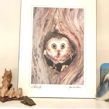 Collection of owl-themed decor, including a matted print of an owl in a tree hollow, various ceramic and stone owl figurines, and a small...
