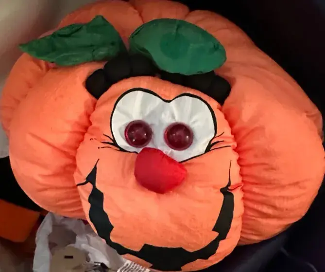 Trick or Treat Yourself - Mystery Fall/Halloween Lot