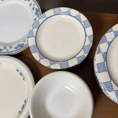 Cute Blue Checker Dishes