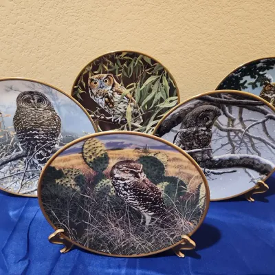 5 Spode Decorative Plates - Noble Owls Of America Collection, Limited Editions, 9-1/2" Dia