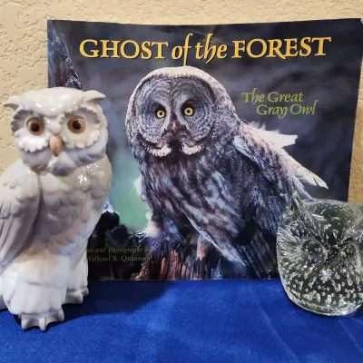 2 Owls & Ghost Of The Forest Book - Lladro NAO Ceramic Owl, Bubble Glass Owl Paperweight, Book