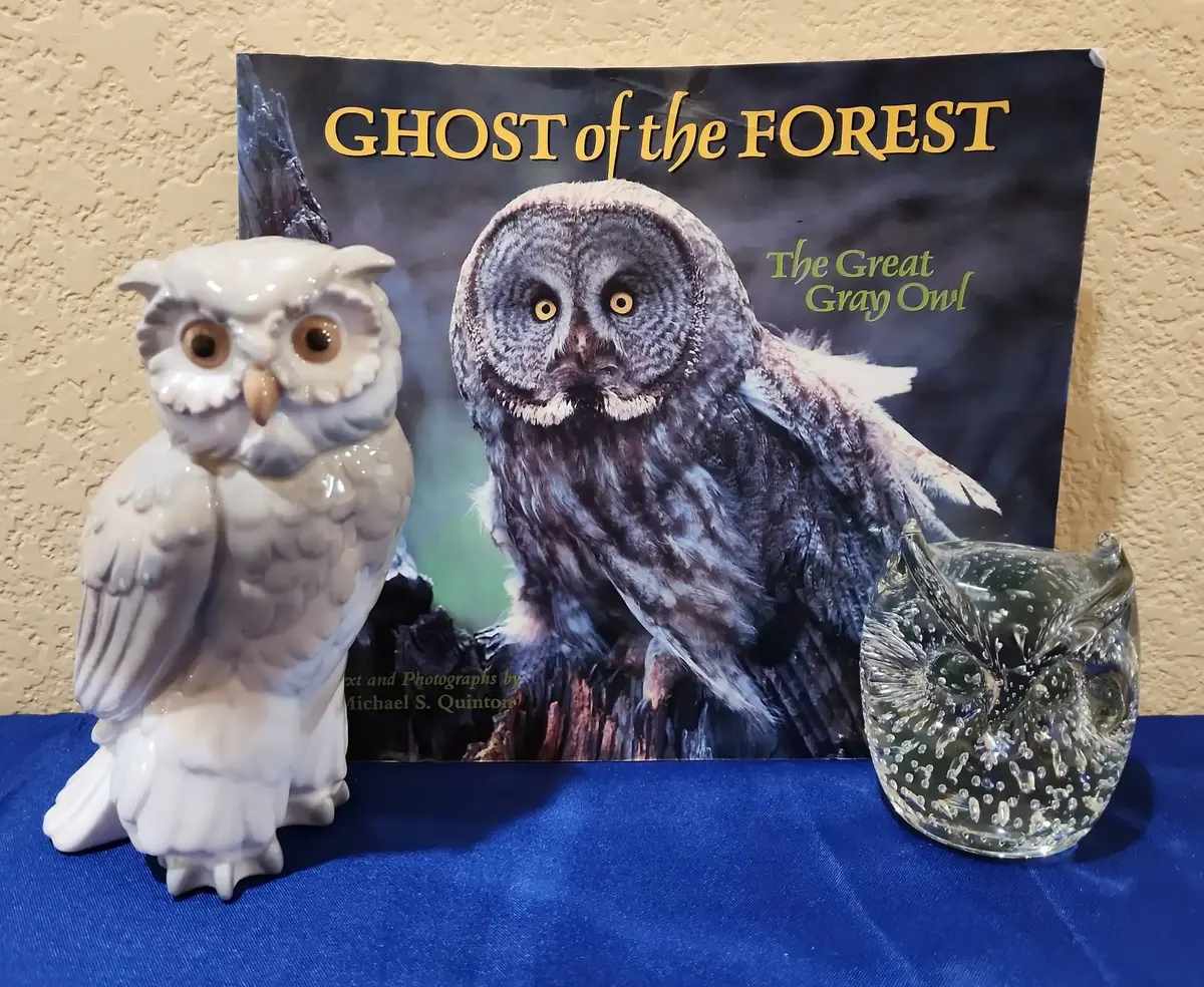 2 Owls & Ghost Of The Forest Book - Lladro NAO Ceramic Owl, Bubble Glass Owl Paperweight, Book