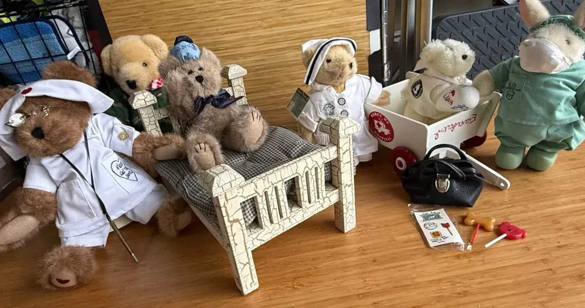 Vintage VanderBear Family & Boyds Bears Medical Collection – Hoppy, Lulu, Hospital Bed & Friends
