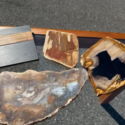 Three polished slabs of petrified wood & Walnut Trivet