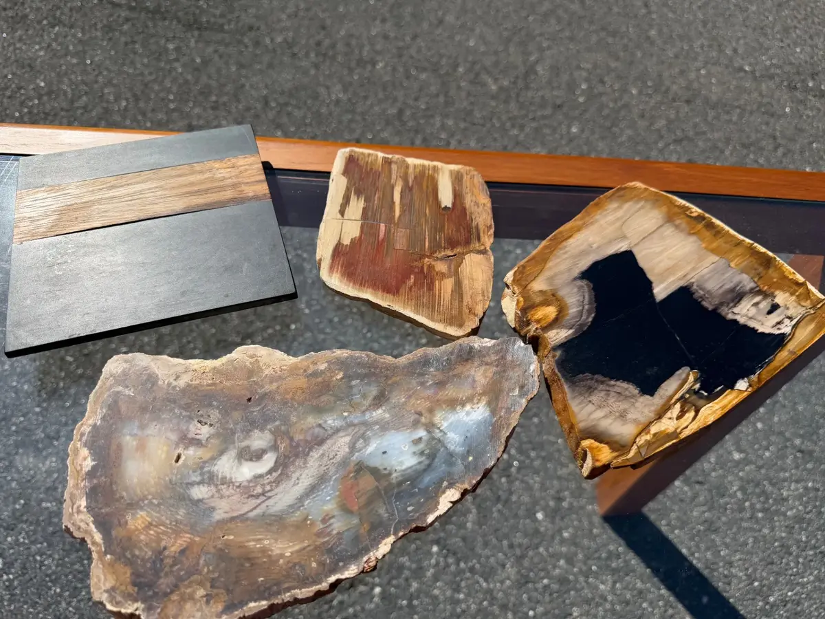 Three polished slabs of petrified wood & Walnut Trivet